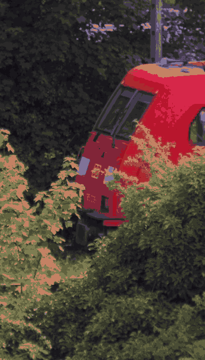 There should be a train video here :'(