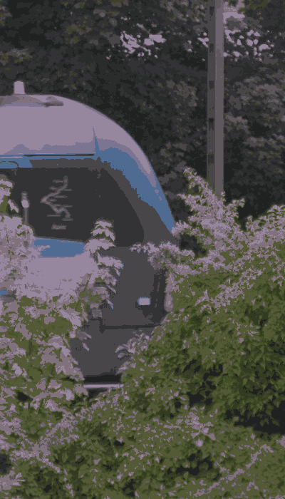 There should be a train video here :'(