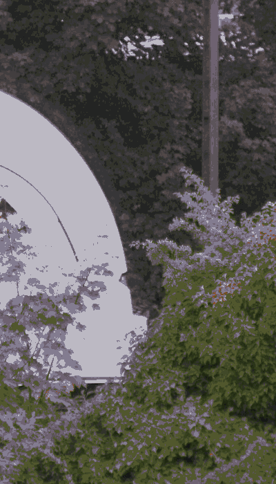 There should be a train video here :'(