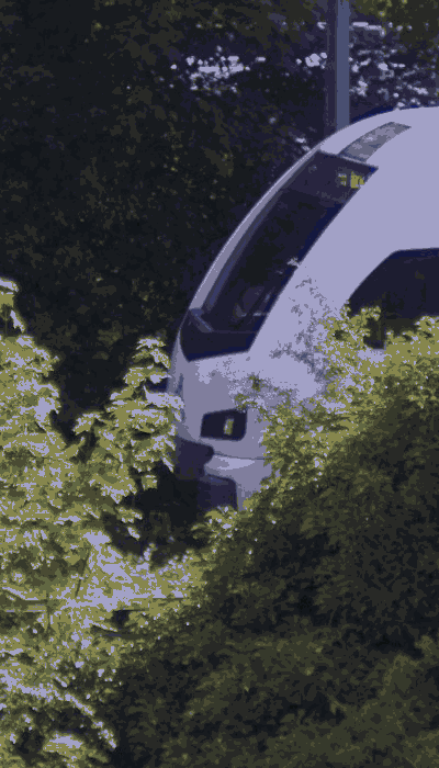 There should be a train video here :'(