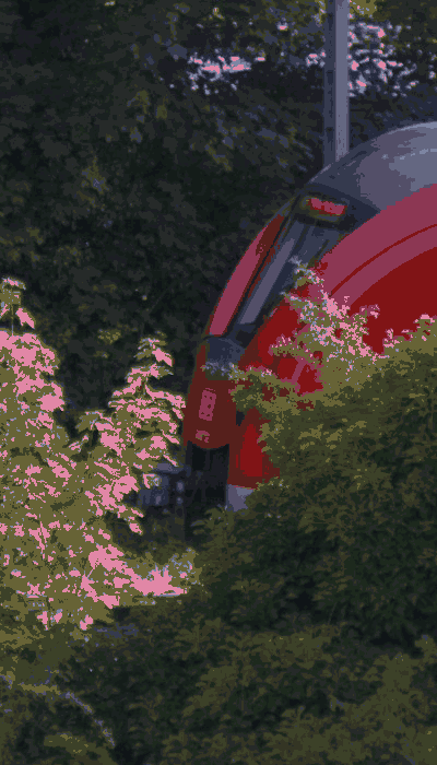 There should be a train video here :'(