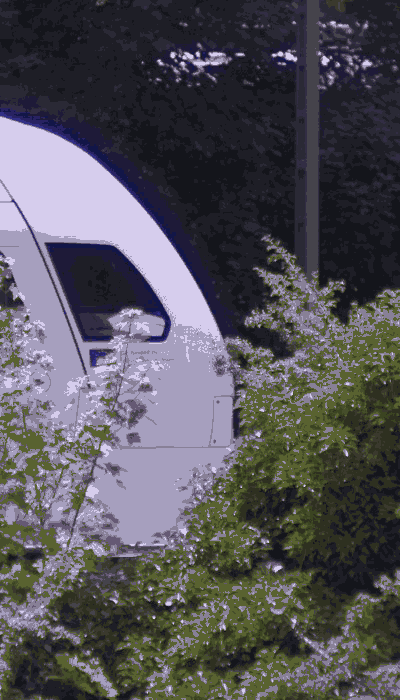 There should be a train video here :'(