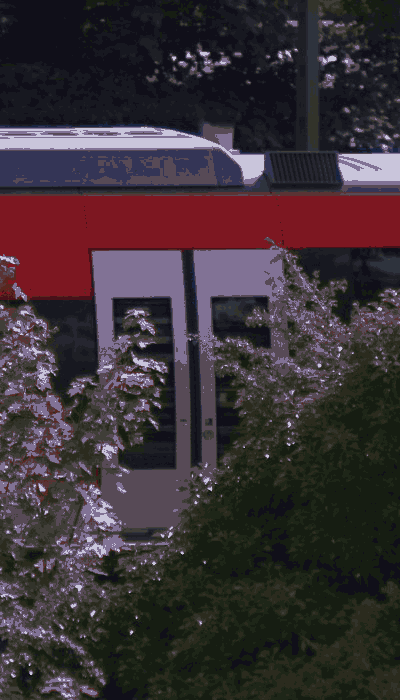 There should be a train video here :'(
