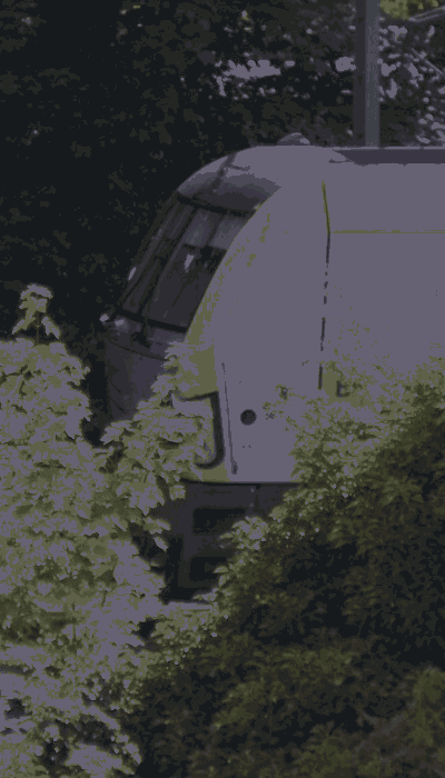 There should be a train video here :'(