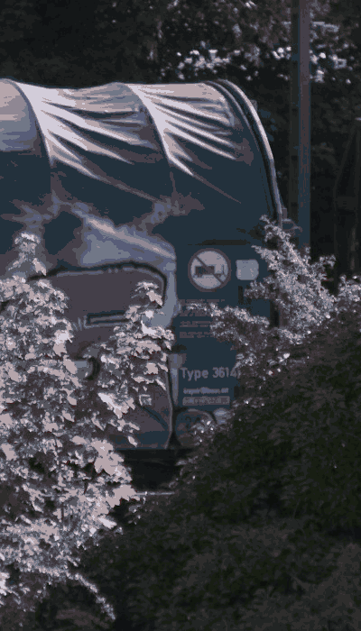 There should be a train video here :'(