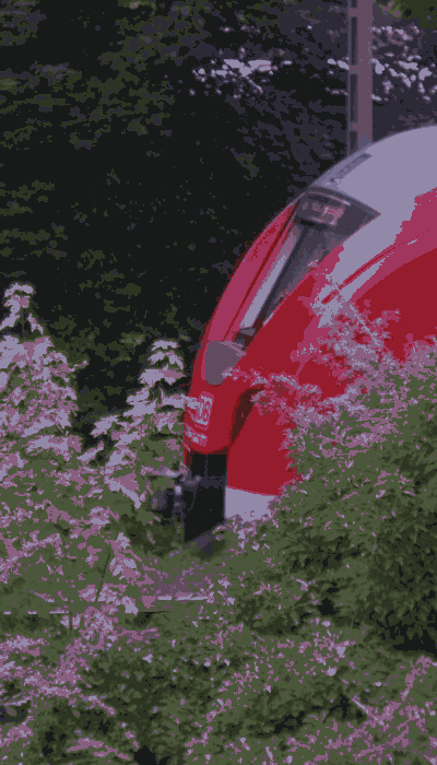 There should be a train video here :'(