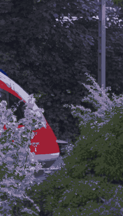 There should be a train video here :'(