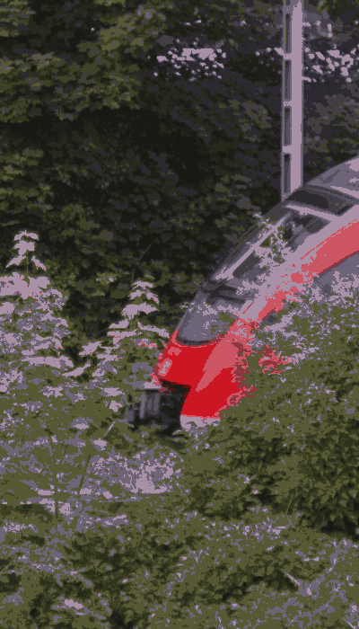 There should be a train video here :'(