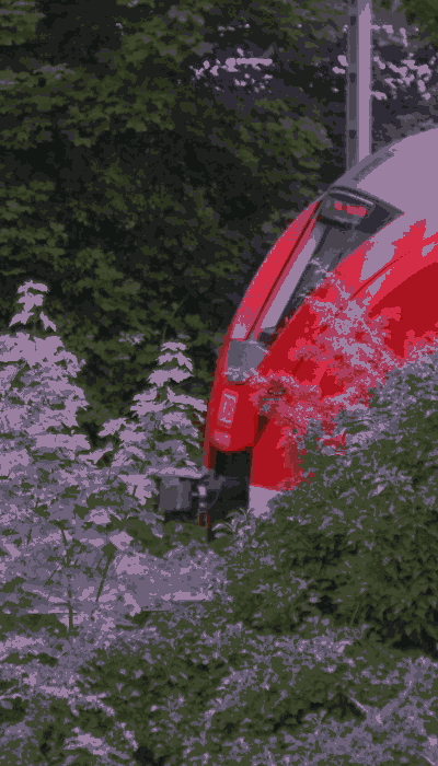There should be a train video here :'(