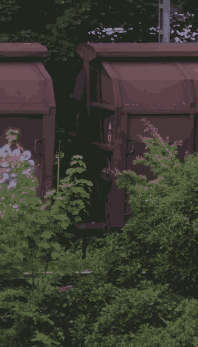 There should be a train video here :'(