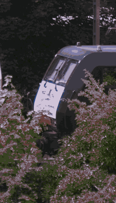 There should be a train video here :'(
