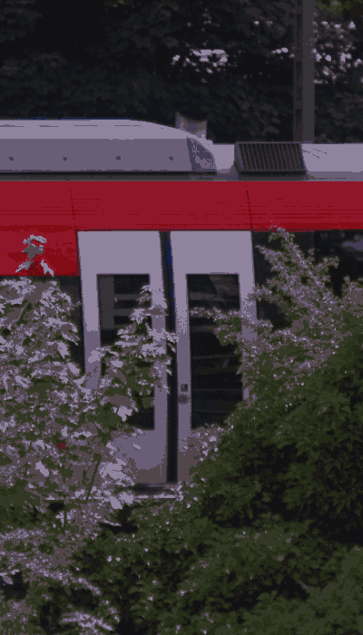 There should be a train video here :'(