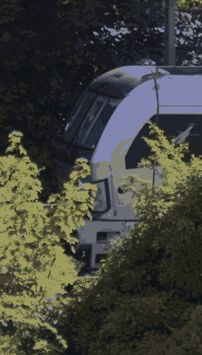 There should be a train video here :'(