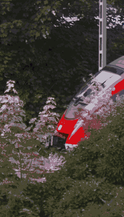 There should be a train video here :'(