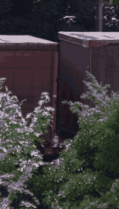 There should be a train video here :'(
