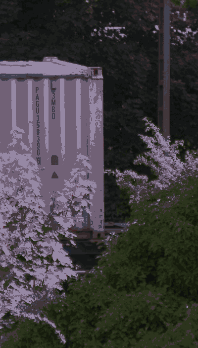 There should be a train video here :'(