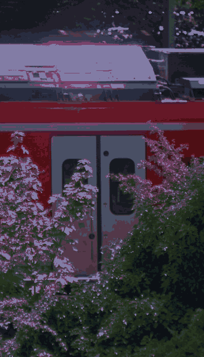 There should be a train video here :'(