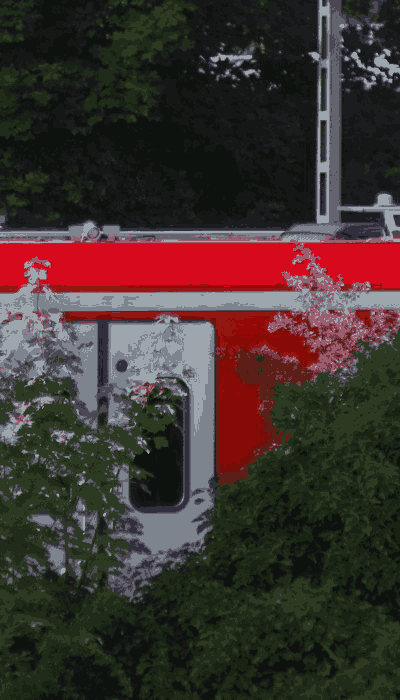 There should be a train video here :'(