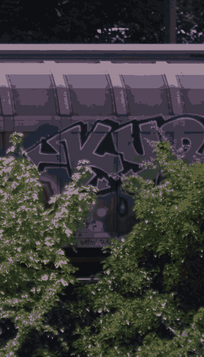 There should be a train video here :'(