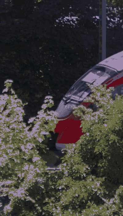 There should be a train video here :'(