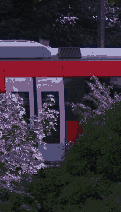 There should be a train video here :'(