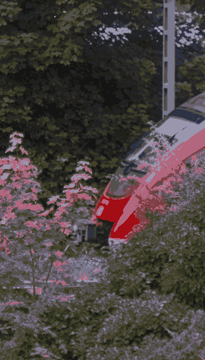There should be a train video here :'(