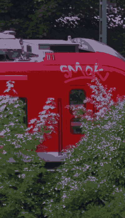 There should be a train video here :'(