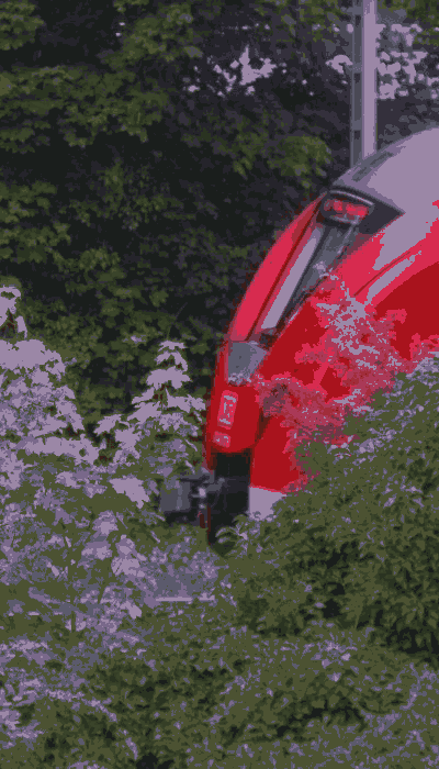 There should be a train video here :'(