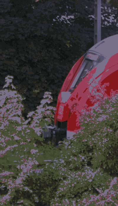 There should be a train video here :'(