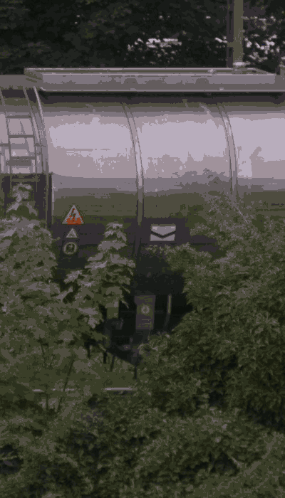There should be a train video here :'(