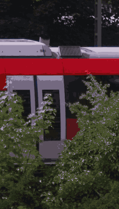There should be a train video here :'(