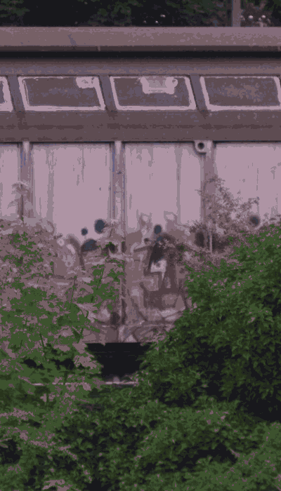 There should be a train video here :'(