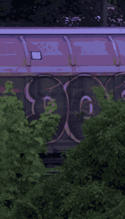 There should be a train video here :'(