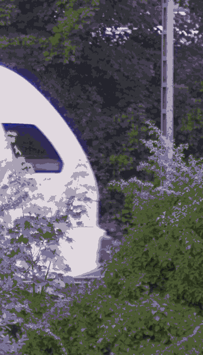 There should be a train video here :'(