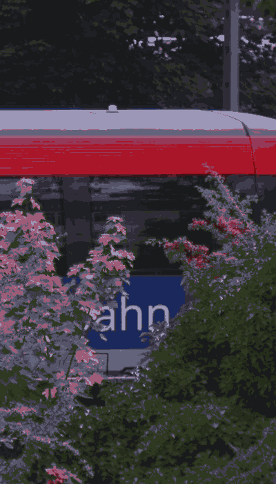 There should be a train video here :'(