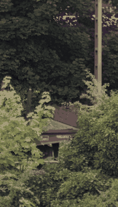 There should be a train video here :'(