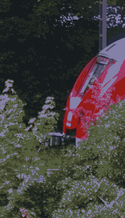 There should be a train video here :'(