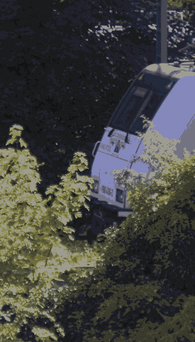 There should be a train video here :'(