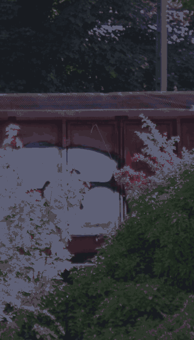 There should be a train video here :'(