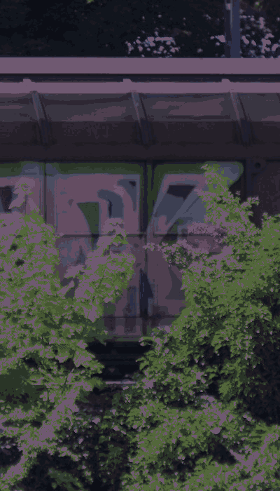 There should be a train video here :'(