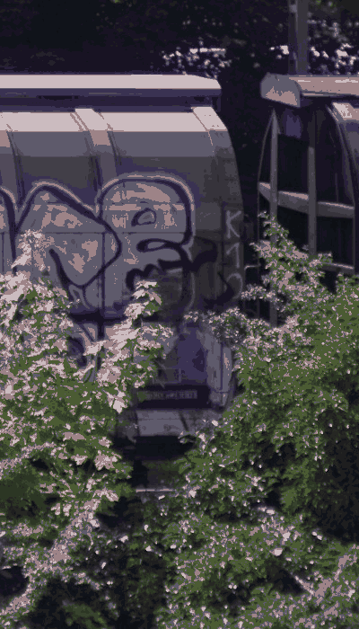 There should be a train video here :'(
