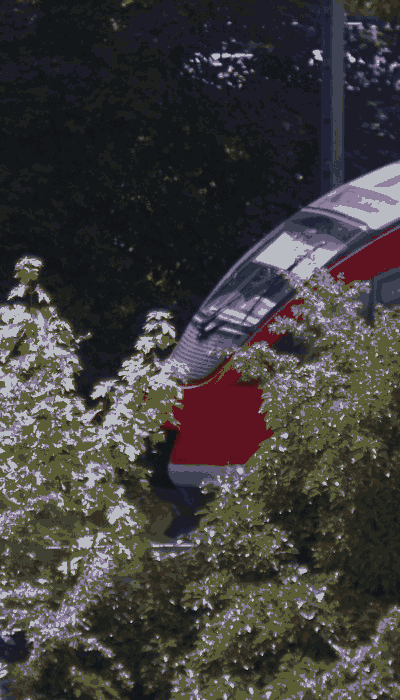 There should be a train video here :'(