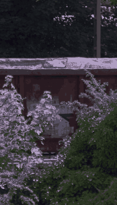 There should be a train video here :'(