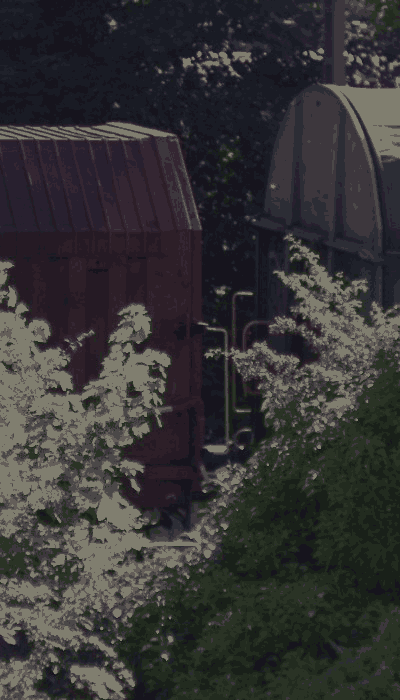 There should be a train video here :'(