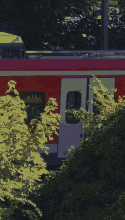 There should be a train video here :'(