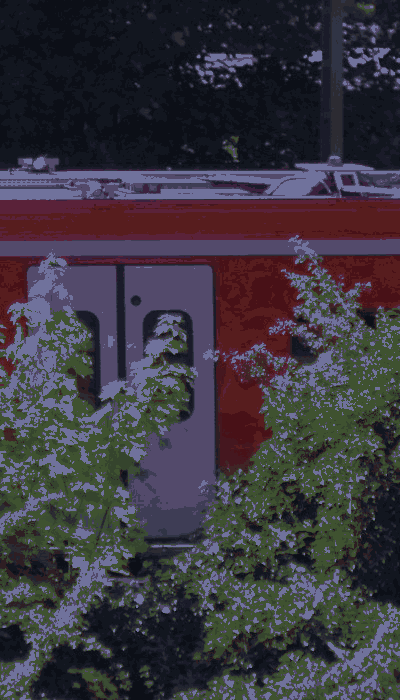 There should be a train video here :'(