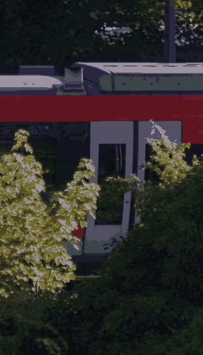 There should be a train video here :'(