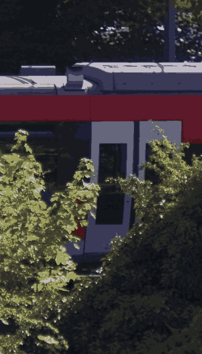 There should be a train video here :'(