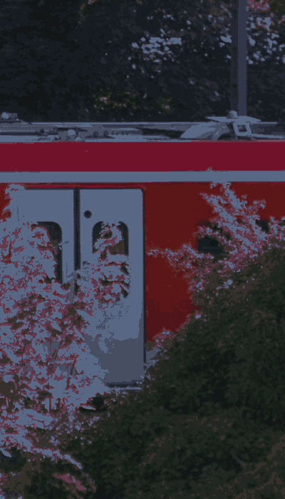 There should be a train video here :'(