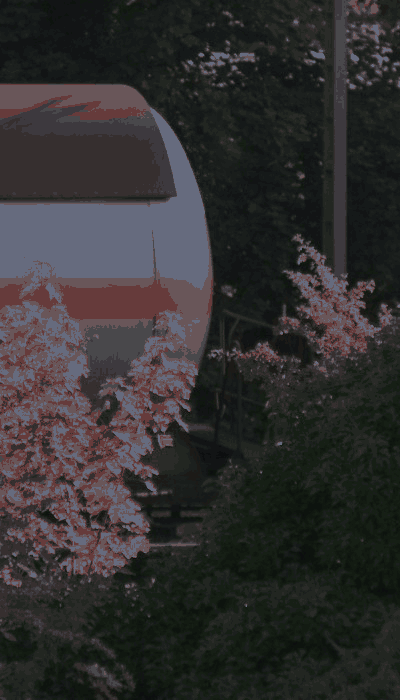 There should be a train video here :'(